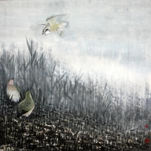 雏鸟搏雾