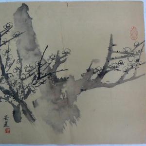 梅花502