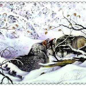 【雪中情】