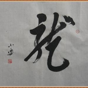 龙书法斗方