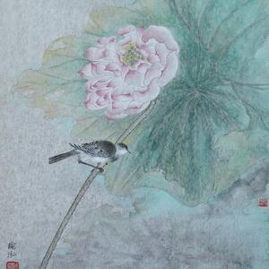 荷花小鸟系列之一
