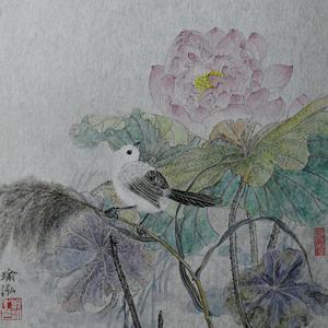 荷花小鸟系列之三