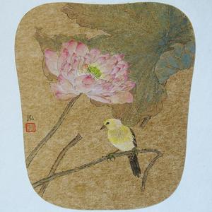 荷花小鸟系列之四