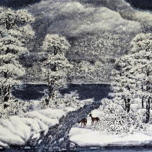 飞雪迎春