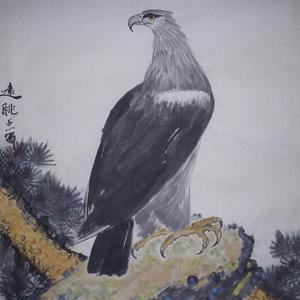 远眺