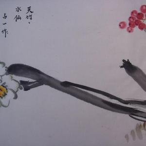 天竹水仙