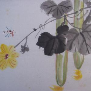 丝瓜