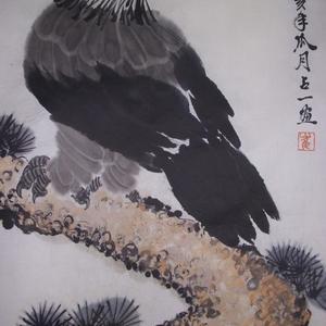 雄视