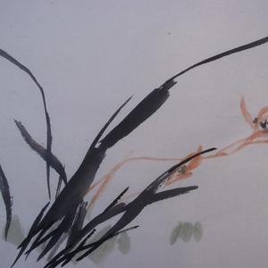 兰草