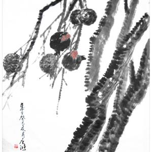 石榴图