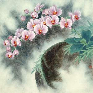 雾中蝶舞
