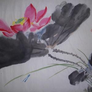 荷花