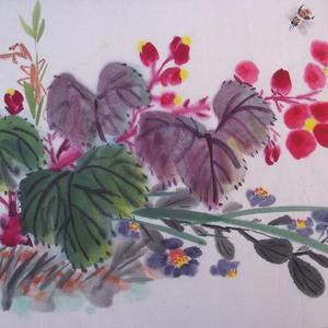 秋海棠野菊花