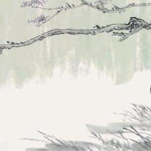 《锦羽》