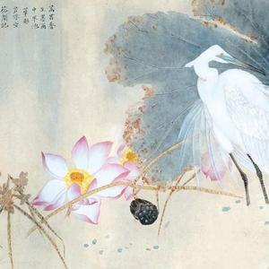 《菡萏香》