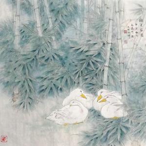 绿色家园