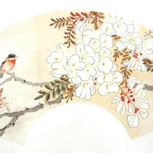 花鸟