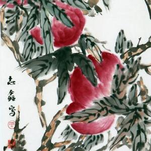 花鸟