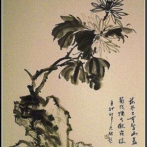 花鸟