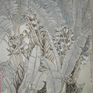 花季的旅人蕉
