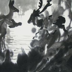 碧湖清影