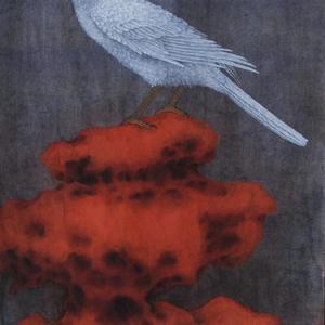 瑰眄