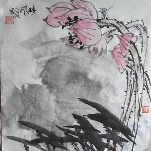 听风