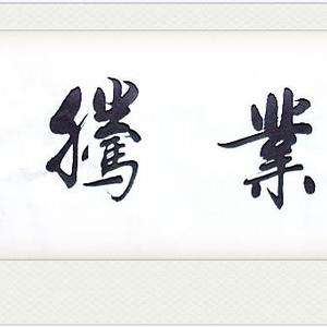 骏业腾飞