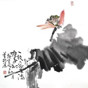 一枝一叶满塘春秋