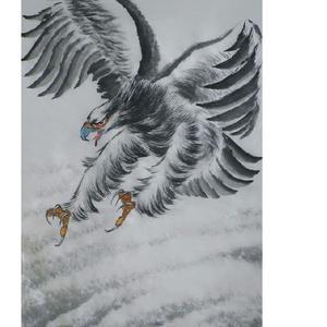鹰击长空