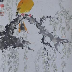 花鸟
