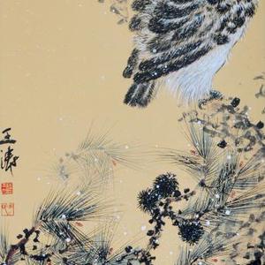 鹰