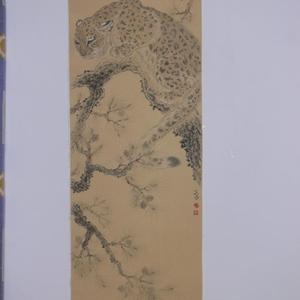 豹
