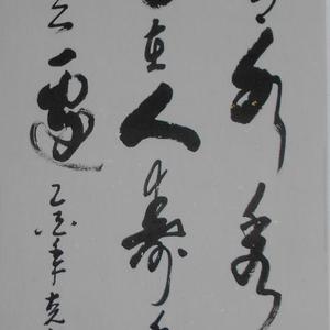 易风
