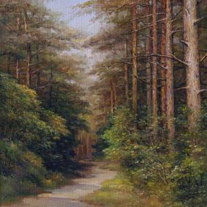 长白松林