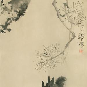 松鼠