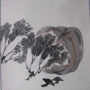 白菜南瓜