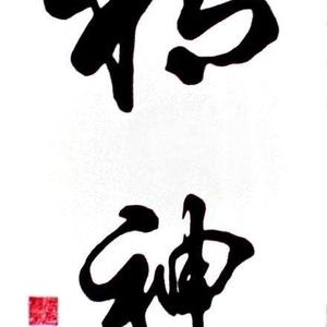 汪洋书法 精神