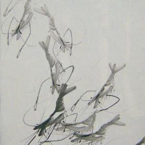 水墨虾（虾之趣）