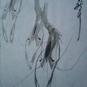 水墨虾（浩荡江湖自然行）