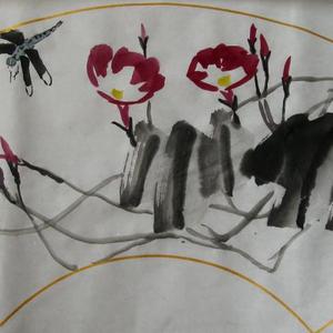 牵牛蜻蜓