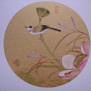 荷花鹡鸰
