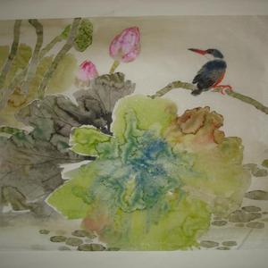 翠鸟荷花