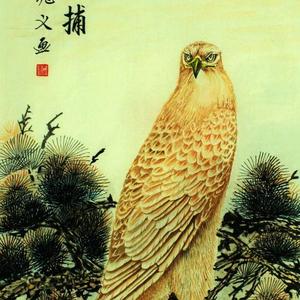 五雄鹰待捕