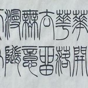 篆书《宠辱不惊---联》横幅