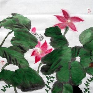 荷花系列