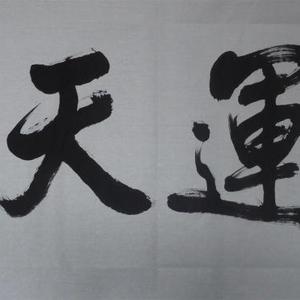 鸿运天成