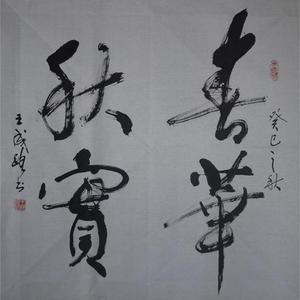春华秋实--斗方