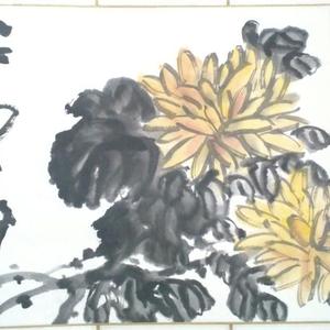 人淡如菊