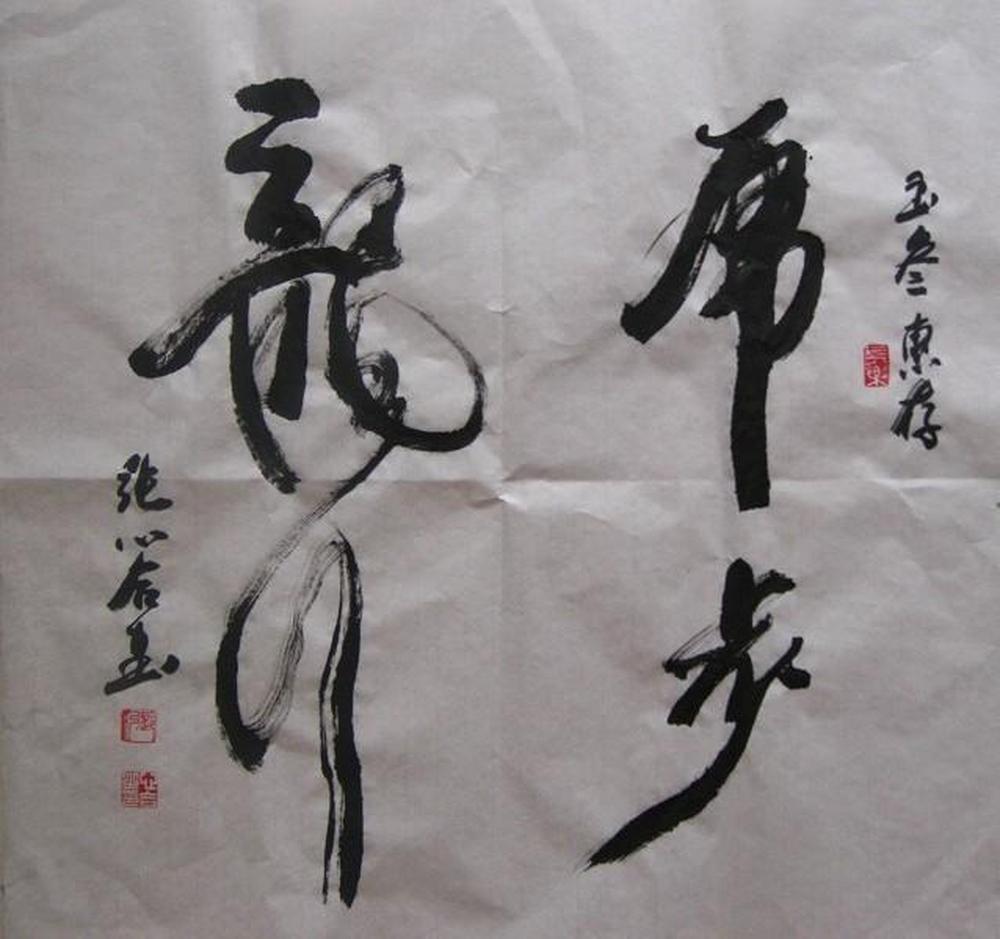 张心合作品欣赏:《龙行虎步》